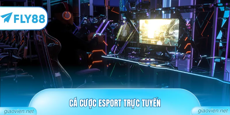 Cá Cược Esport Trực Tuyến - Đấu Trường Trí Tuệ Kỳ Thú 7 Cá cược Esport trực tuyến