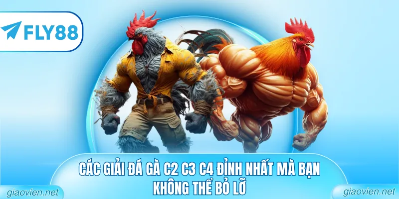 Đá Gà C2 C3 C4 Hôm Nay Từ Những Bồ Gà Uy Tín Nhất Khu Vực 3 Các giải đá gà C2 C3 C4 đỉnh nhất mà bạn không thể bỏ lỡ