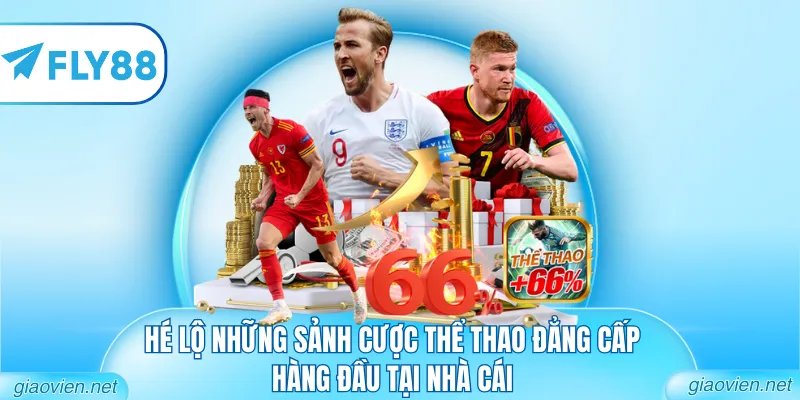 Thể Thao FLY88 - Sảnh Cược Đẳng Cấp Với Tỷ Lệ Thưởng Cao 3 Hé lộ những sảnh cược thể thao đẳng cấp hàng đầu tại nhà cái