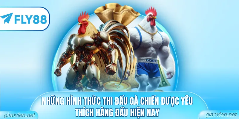Đá Gà FLY88 - Đấu Trường Trực Tuyến Đẳng Cấp Và Uy Tín 2 Những hình thức thi đấu gà chiến được yêu thích hàng đầu hiện nay